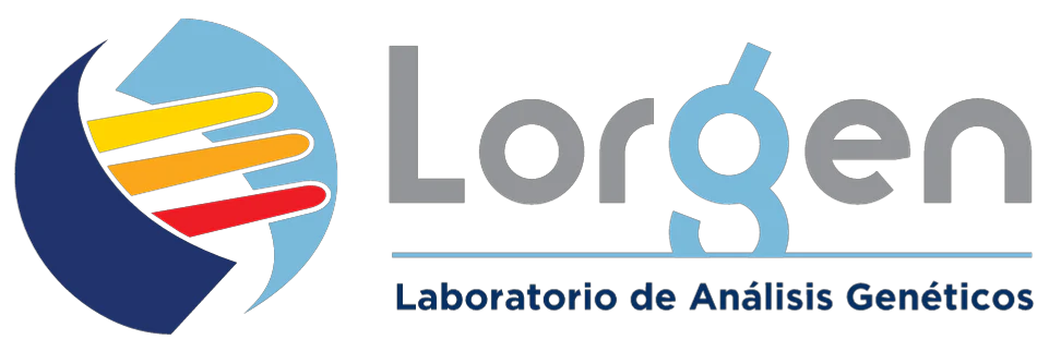 Lorgen